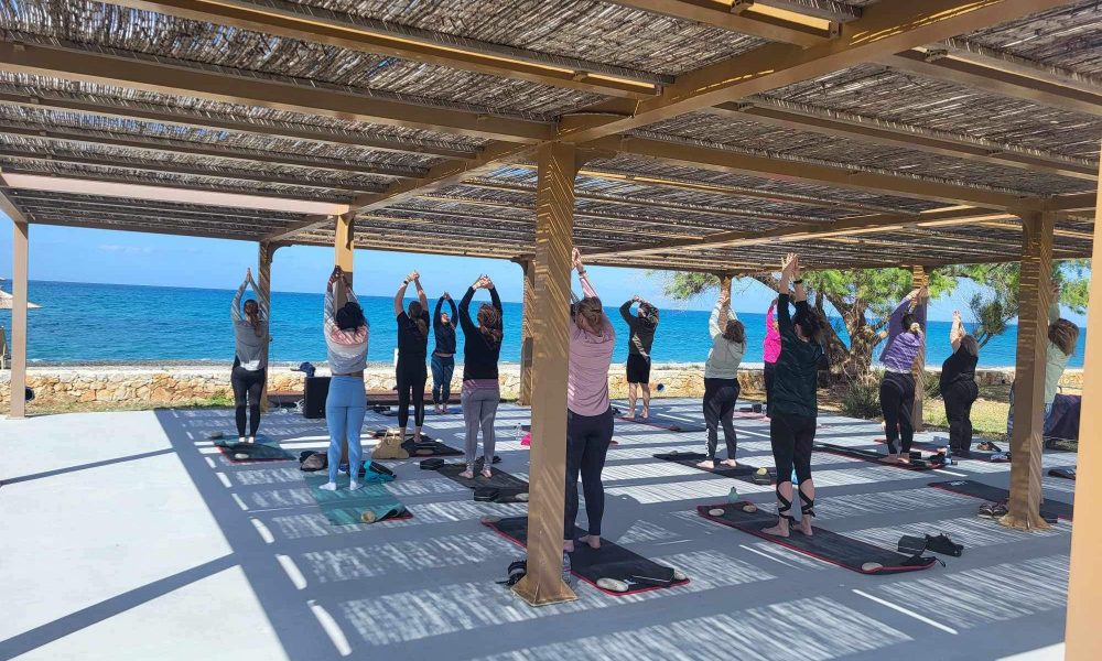 Yogaresa 8 Yogaresa 8